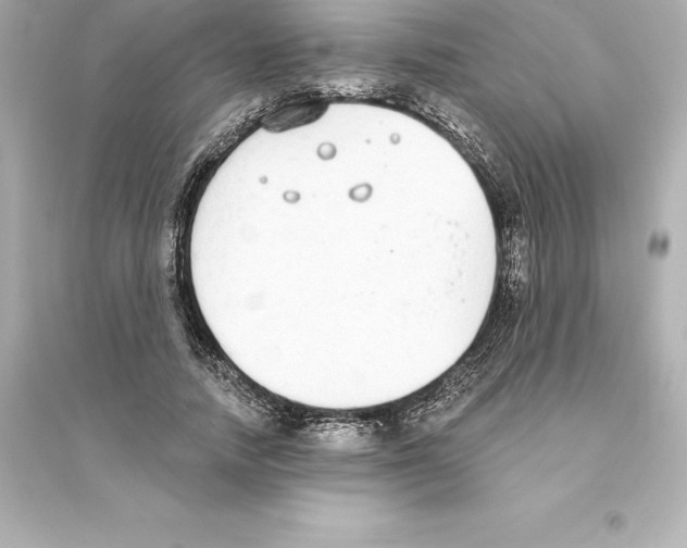 X0000093620738200711121235