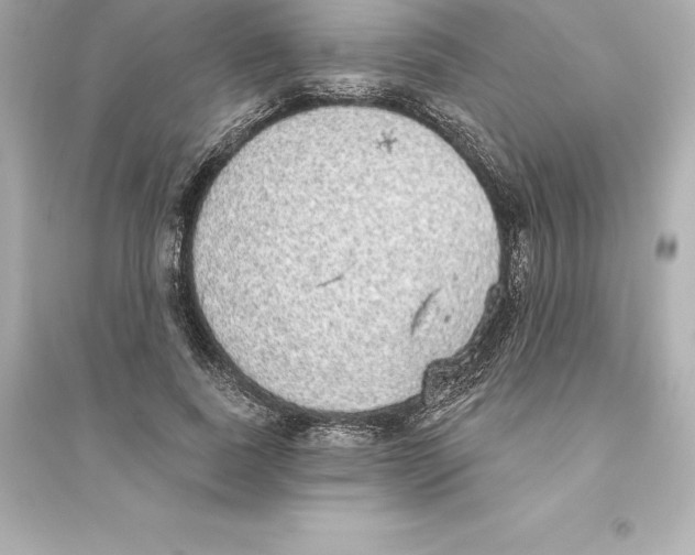 X0000093620739200711121235