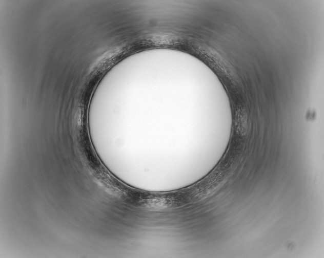 X0000093620740200711121235