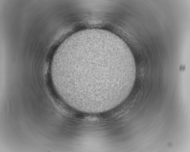 X0000093620742200711121235