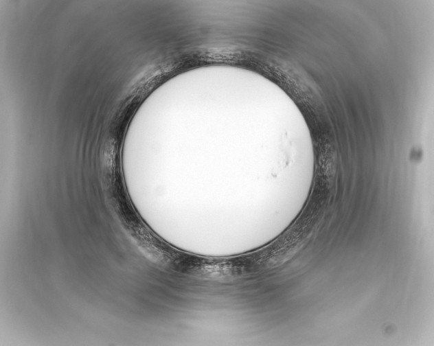 X0000093620744200711121235