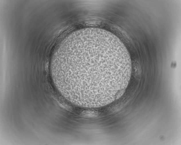 X0000093620745200711121235