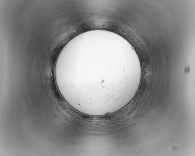 X0000093620746200711121235