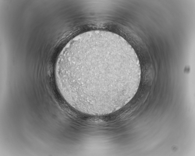 X0000093620747200711121235