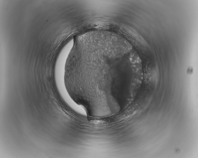 X0000093620748200711121235