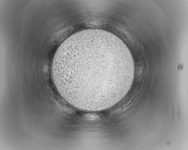 X0000093620749200711121235