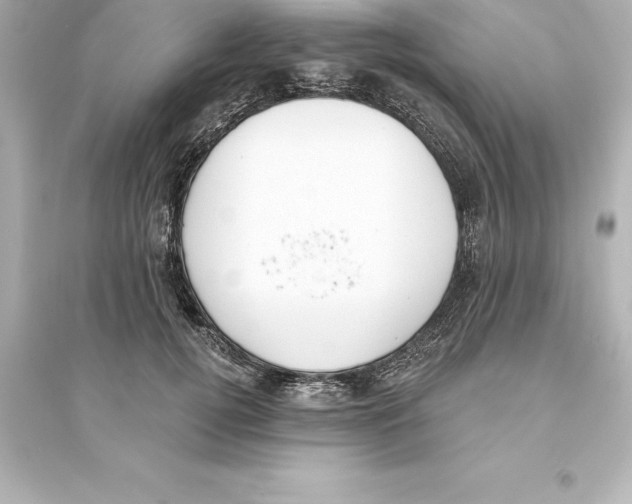 X0000093620752200711121235