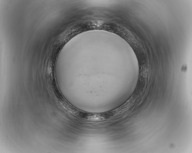 X0000093620754200711121235