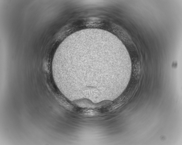 X0000093620755200711121235