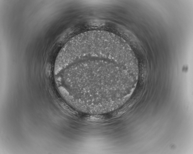 X0000093620758200711121235