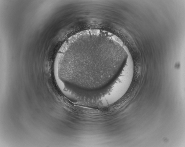 X0000093620759200711121235