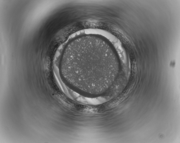 X0000093620760200711121235