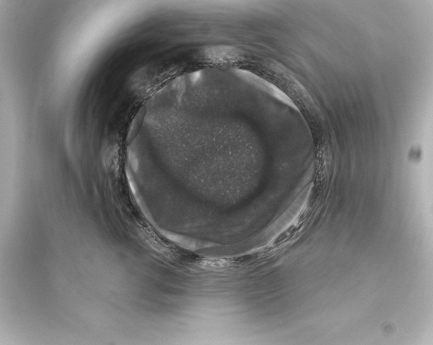 X0000093620762200711121235