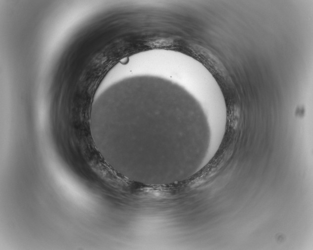 X0000093620763200711121235