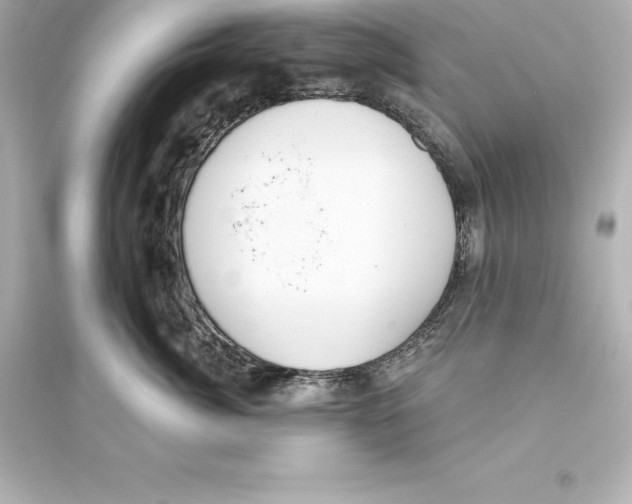 X0000093620764200711121235