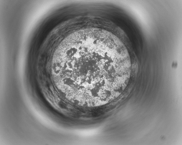 X0000093620765200711121235