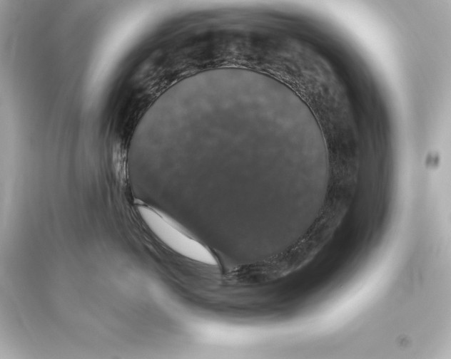 X0000093620766200711121235