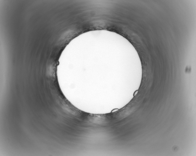 X0000093620768200711121235