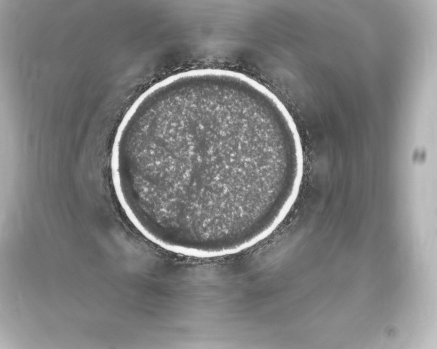 X0000093620769200711121235