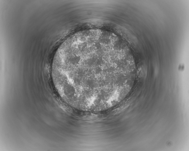 X0000093620772200711121235