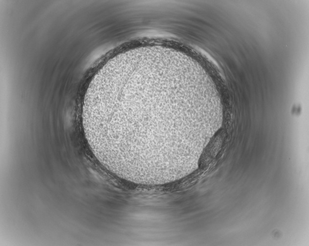 X0000093620775200711121235