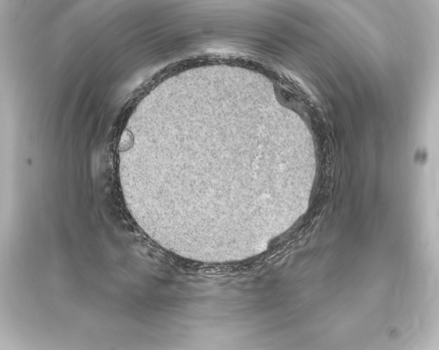 X0000093620776200711121235