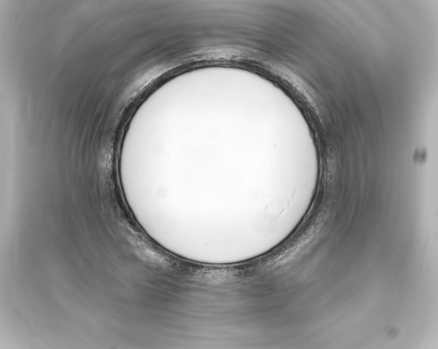 X0000093620778200711121235