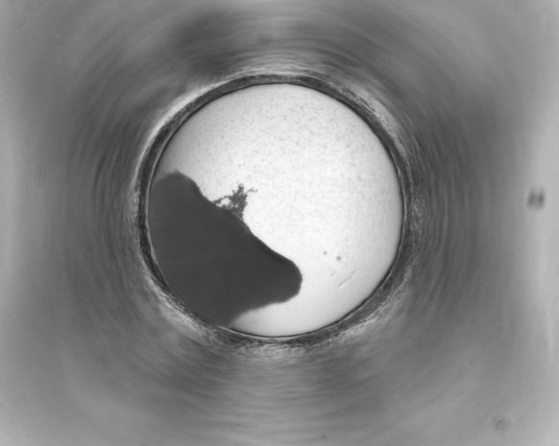 X0000093620779200711121235