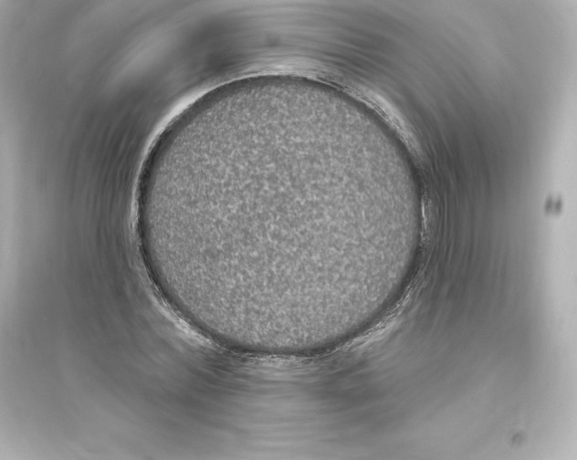 X0000093620780200711121235