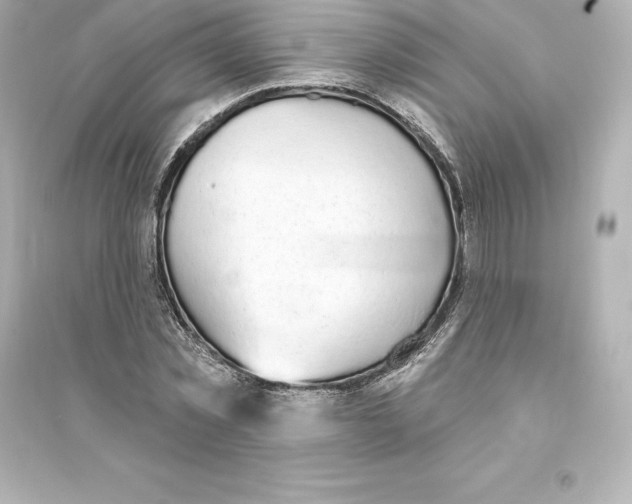 X0000093620781200711121235