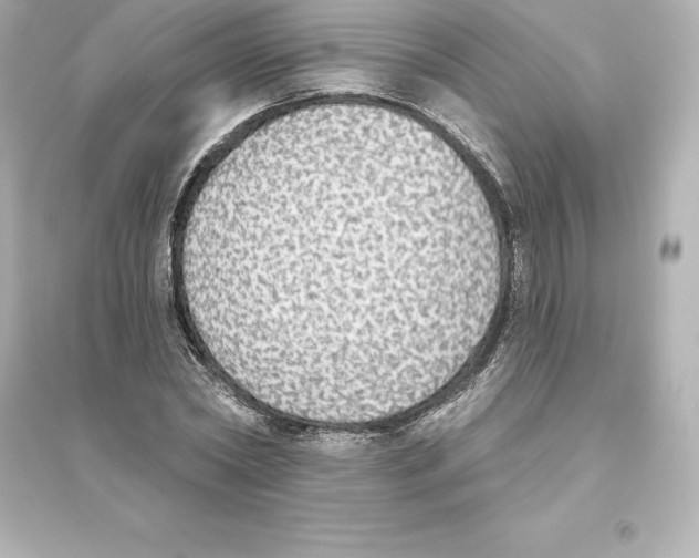 X0000093620782200711121235