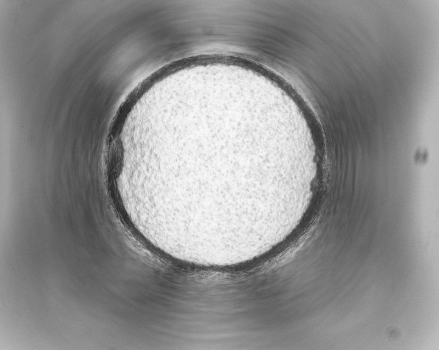 X0000093620783200711121235