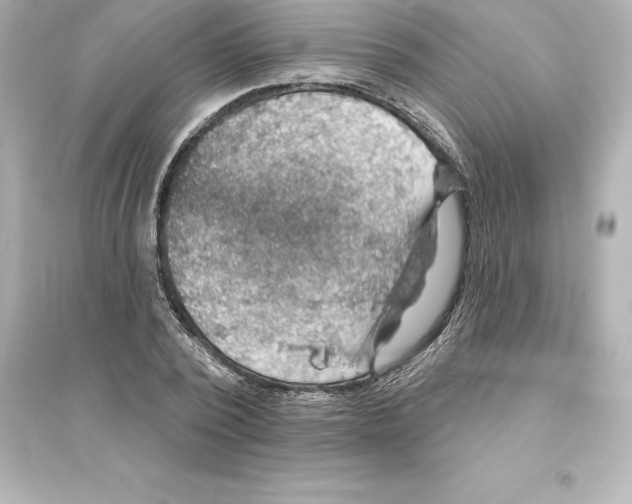 X0000093620784200711121235