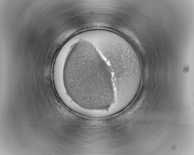 X0000093620785200711121235