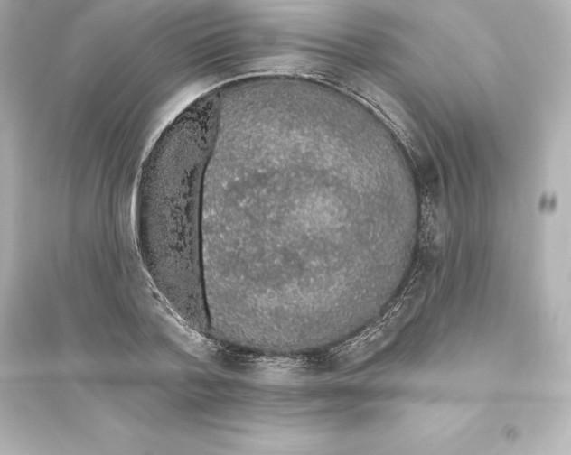 X0000093620788200711121234