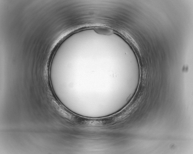 X0000093620789200711121234