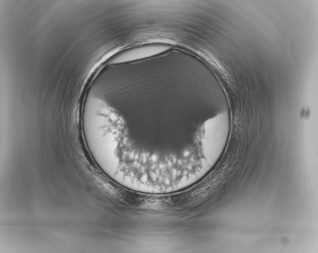 X0000093620790200711121234