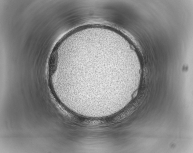 X0000093620791200711121234