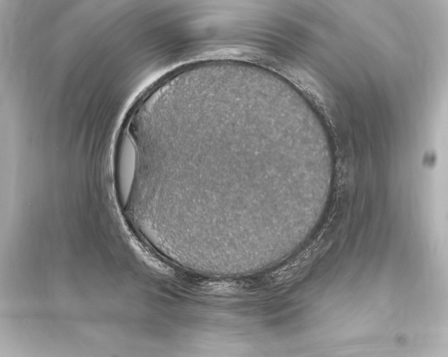 X0000093620792200711121234