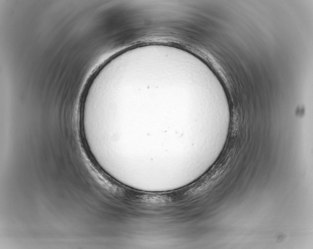 X0000093620795200711121234