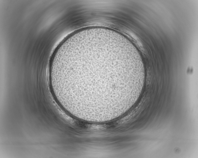 X0000093620796200711121234