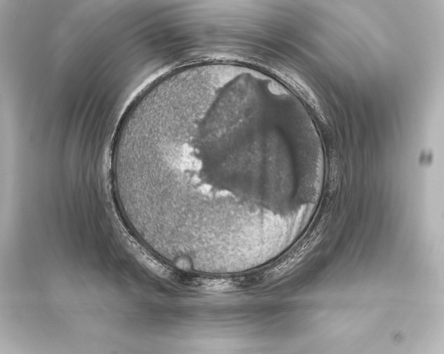 X0000093620798200711121234