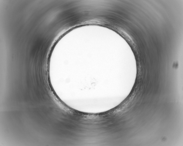 X0000093620800200711121234