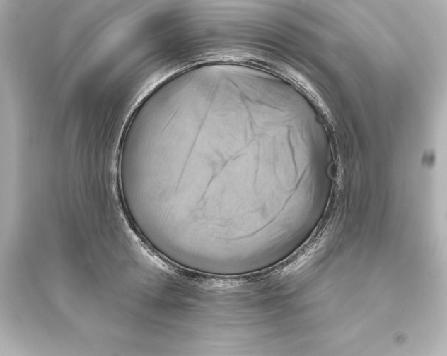 X0000093620802200711121234