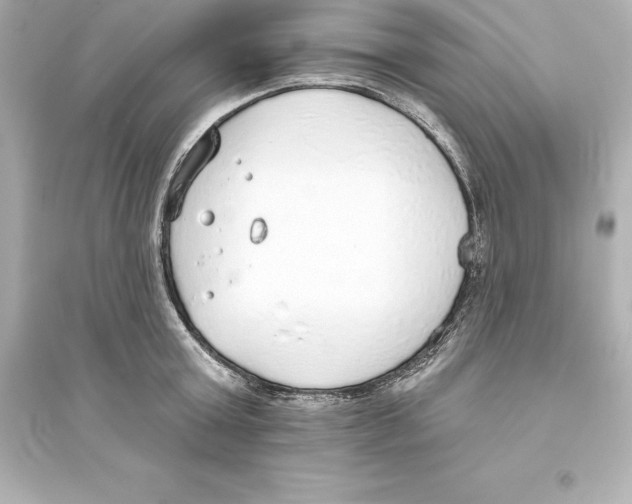 X0000093620803200711121234