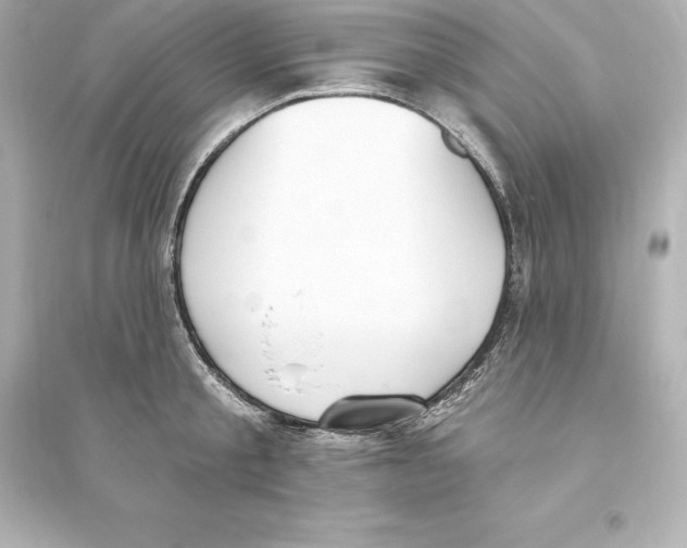 X0000093620805200711121234