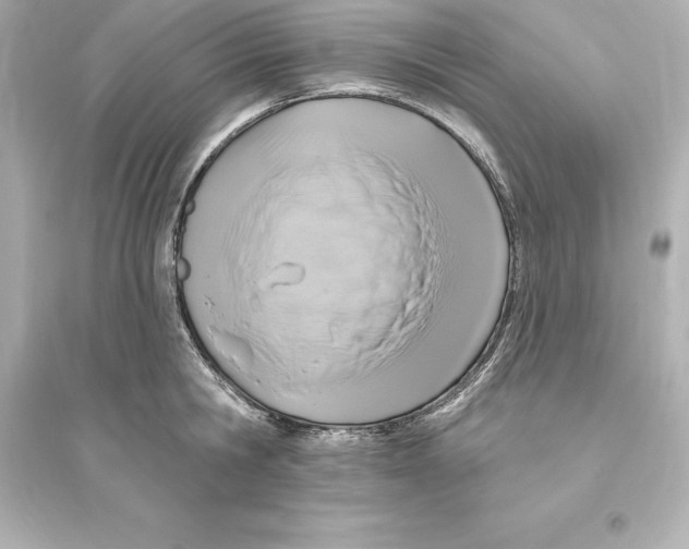 X0000093620806200711121234