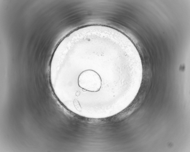 X0000093620807200711121234