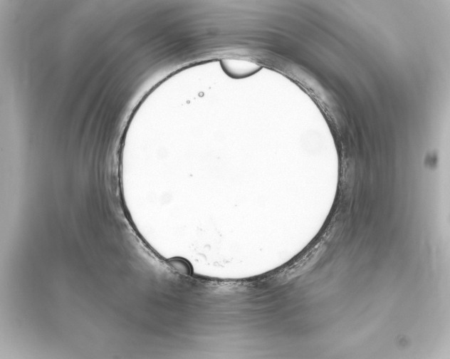 X0000093620808200711121234