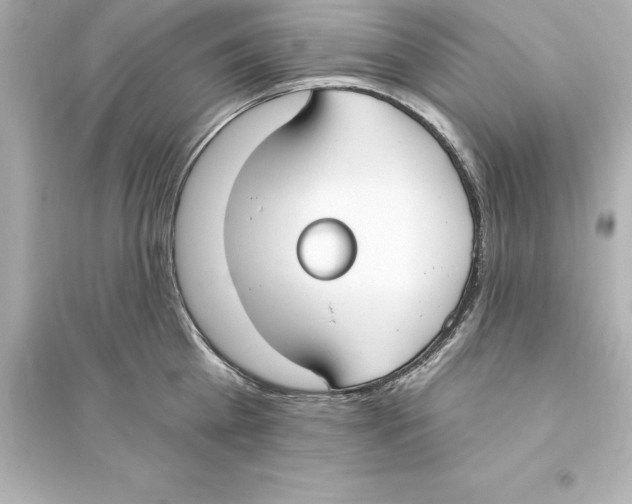 X0000093620809200711121234